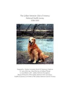 Dog breeds / Mongrel / Golden Retriever / Flat-Coated Retriever / Chesapeake Bay Retriever / Curly Coated Retriever / Dog / Retriever / Neutering