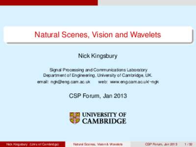 Natural Scenes, Vision and Wavelets Nick Kingsbury Signal Processing and Communications Laboratory Department of Engineering, University of Cambridge, UK. email: 