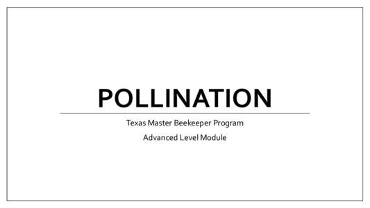 POLLINATION Texas Master Beekeeper Program Advanced Level Module What is pollen? • Main protein source for honey bees.