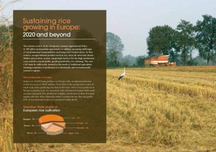 Sustaining rice growing in Europe: 2020 and beyond The current review of the European Common Agricultural Policy (CAP) offers an important opportunity to address upcoming challenges