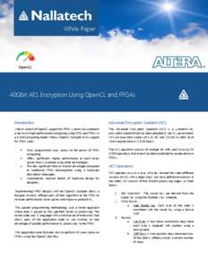 White Paper  40Gbit AES Encryption Using OpenCL and FPGAs Introduction