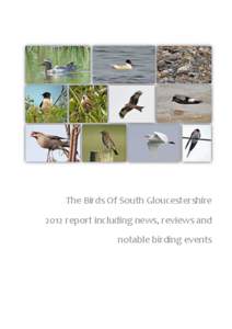 The Birds Of South Gloucestershire 2012 report including news, reviews and notable birding events P a g e |2