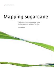 _  Plant genetics Mapping sugarcane The Genome Project paved the way for the