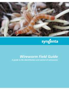 49_Wireworm Booklet_2010 FOR WEB.pdf