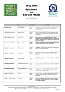 May 2015 Specimen and Special Plants Lines priced individually
