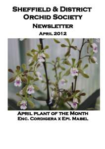 Sheffield & District Orchid Society Newsletter AprilApril plant of the Month