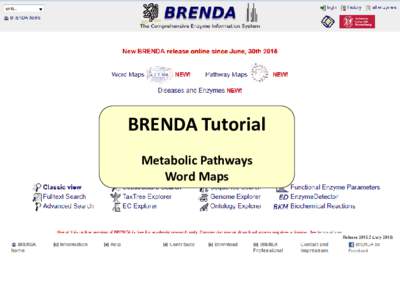 BRENDA Tutorial Metabolic Pathways Word Maps Pathways in BRENDA include • BRENDA Pathway Maps