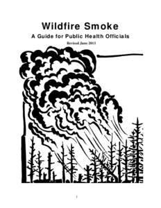 Wildfire Smoke A Guide for Public Health Officials Revised June