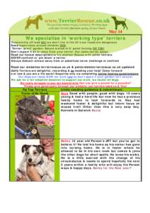 Would be adopters need to complete our homing questionnaire under IMPORTANT INFO