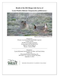 2012 Lesser Prairie-chicken Survey