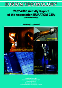 Activity report of the Association Euratom-CEA: fusion technology, executive summary  FUSION TECHNOLOGYActivity Report of the Association EURATOM-CEA