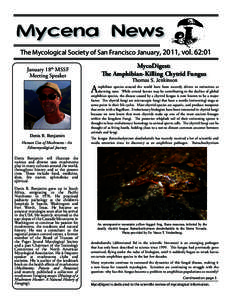 The Mycological Society of San Francisco January, 2011, vol. 62:01 MycoDigest: The Amphibian-Killing Chytrid Fungus January 18th MSSF Meeting Speaker