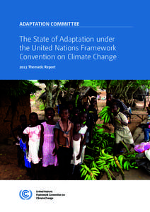 Adaptation Committee  The State of Adaptation under the United Nations Framework Convention on Climate Change 2013 Thematic Report