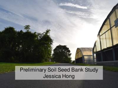 Preliminary Soil Seed Bank Study Jessica Hong Upland Pine Treatment Seed Bank Study • Seed banks can provide information on species