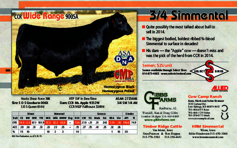 ■ Quite possibly the most talked about bull to sell in 2014. ■ The biggest bodied, boldest ribbed ¾-blood Simmental to surface in decades! ■ His dam — the “Apple” cow — doesn’t miss and was the pick of t