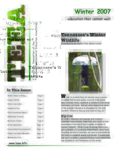 Winter 2007 A Quarterly Newsletter of the Tennessee Environmental Education Associationeducation that cannot wait