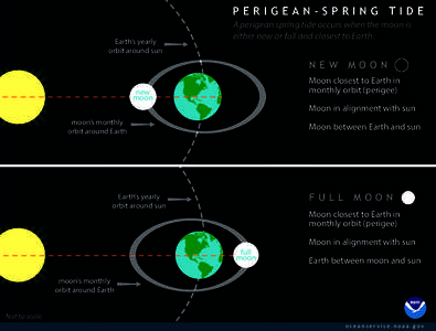 PERIGEAN-SPRING TIDE Earth’s yearly orbit around sun A perigean spring tide occurs when the moon is either new or full and closest to Earth.