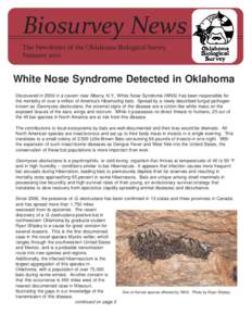 Biosurvey News The Newsletter of the Oklahoma Biological Survey Summer 2010 White Nose Syndrome Detected in Oklahoma Discovered in 2006 in a cavern near Albany, N.Y., White Nose Syndrome (WNS) has been responsible for