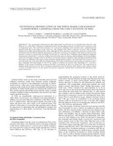 Journal of Vertebrate Paleontology 29(1):1–13, March 2009 # 2009 by the Society of Vertebrate Paleontology
