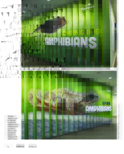 Courtesy of Shedd Aquarium/Brenna Hernandez  The title/ marquee wall for Shedd’s Amphibians