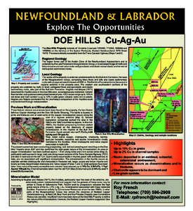 NEWFOUNDLAND & LABRADOR Explore The Opportunities DOE HILLS Cu-Ag-Au The region forms part of the Avalon Zone of the Newfoundland Appalachians and is underlain by the Late Proterozoic Musgravetown Group, a mixed assembla
