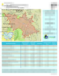 MARKET PROFILE  Penn Avenue Commercial Area North Point Breeze 2015 Business Summary (2 Minute Drive Time)