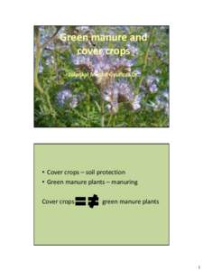 Green manure and cover crops Jolankai M. and Gyuricza Cs. • Cover crops – soil protection • Green manure plants – manuring