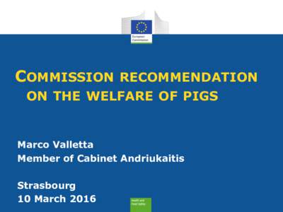COMMISSION RECOMMENDATION ON THE WELFARE OF PIGS Marco Valletta Member of Cabinet Andriukaitis Strasbourg