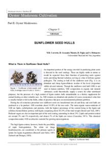 Microsoft Wordchapter-5-3sunflower seed hulls.doc