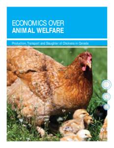 ECONOMICS OVER ANIMAL WELFARE Production, Transport and Slaughter of Chickens in Canada TABLE OF CONTENTS INTRODUCTION
