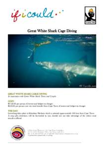 Sharks / Megafauna / Biota / Fish / Great white shark / Mike Rutzen / Outline of sharks