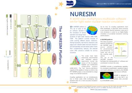 NURESIM  A world-class multiphysics-multiscale software set for light water nuclear reactor simulation  The NURESIM Platform