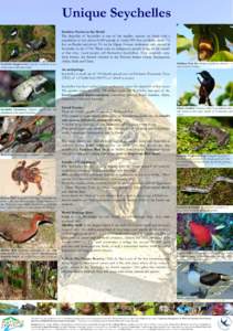 Indian Ocean / Geography of Seychelles / Geography of Africa / Coral islands / Republics / Seychelles / Cosmoledo / Valle de Mai / Wildlife of Seychelles / Astove Island / Outer Islands / Aldabra