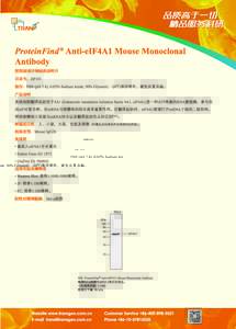 ProteinFind® Anti-eIF4A1 Mouse Monoclonal Antibody
