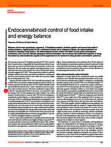 © 2005 Nature Publishing Group http://www.nature.com/natureneuroscience  F E E D I N G R E G U L AT I O N A N D O B E S I T Y REVIEW