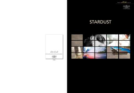Stardust  STARDUST pag . 401