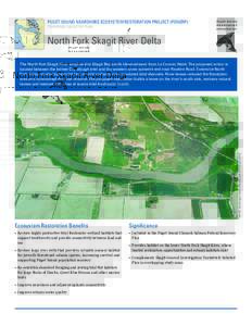 PUGET SOUND NEARSHORE ECOSYSTEM RESTORATION PROJECT (PSNERP) TENTATIVELY SELECTED PLAN North Fork Skagit River Delta  IMAGE: Washington State Department of Ecology (2006)