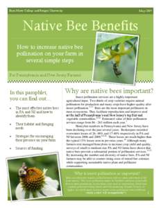 Bryn Mawr College and Rutgers University  May 2009 Native Bee Benefits How to increase native bee