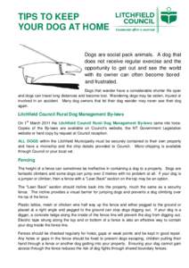 TIPS TO KEEP YOUR DOG AT HOME Dogs are social pack animals. A dog that does not receive regular exercise and the opportunity to get out and see the world with its owner can often become bored