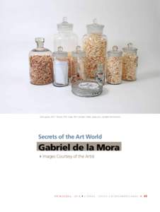 Cam-gone, 2011. Wood, PVC tube, film canister, letter, glass jars, variable dimensions  Secrets of the Art World Gabriel de la Mora 4Images Courtesy of the Artist