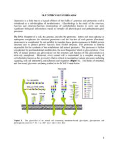 GLYCOMICS/GLYCOBIOLOGY Glycomics is a field that is a logical offshoot of the fields of genomics and proteomics and is considered as a sub-discipline of metabolomics. Glycobiology is the study of the structure, function 