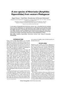 A new species of Heterixalus (Amphibia: Hyperoliidae) from western Madagascar 1