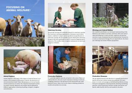 FOCUSING ON animal WELFARE ! Veterinary Nursing  Ethology and Animal Welfare