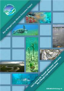Fisheries science / Ecopath / Sustainability / EcoSim / Fish mortality / Ewe / Biomass / Environmental science / Nature