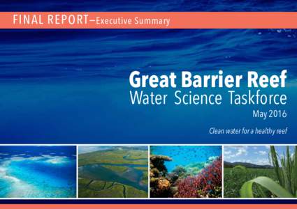 FINAL REPORT— EXECUTIVE SUMMARYExecutive Summary rier Reef