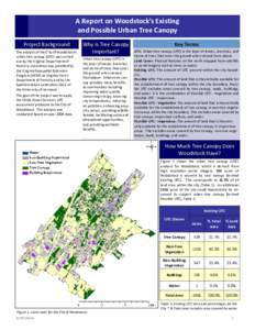 A Report on Woodstock’s Existing and Possible Urban Tree Canopy Project Background The analysis of the City of Woodstock’s urban tree canopy (UTC) was carried out by the Virginia Department of