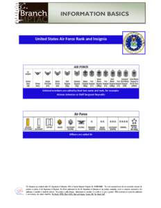 INFORMATION BASICS  United States Air Force Rank and Insignia Enlisted members are called by their last name and rank, for example: Airman Johnston or Staff Sergeant Reynolds