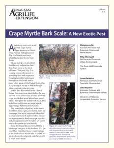 EHTCrape Myrtle Bark Scale: A New Exotic Pest  A