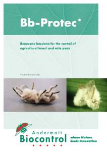 Bb-Protec * Beauveria bassiana for the control of agricultural insect and mite pests * Further Brand Eco-Bb
