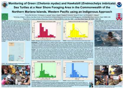 Monitoring of Green (Chelonia mydas) and Hawksbill (Eretmochelys imbricata) Sea Turtles at a Near Shore Foraging Area in the Commonwealth of the Northern Mariana Islands, Western Pacific using an Indigenous Approach Tamm